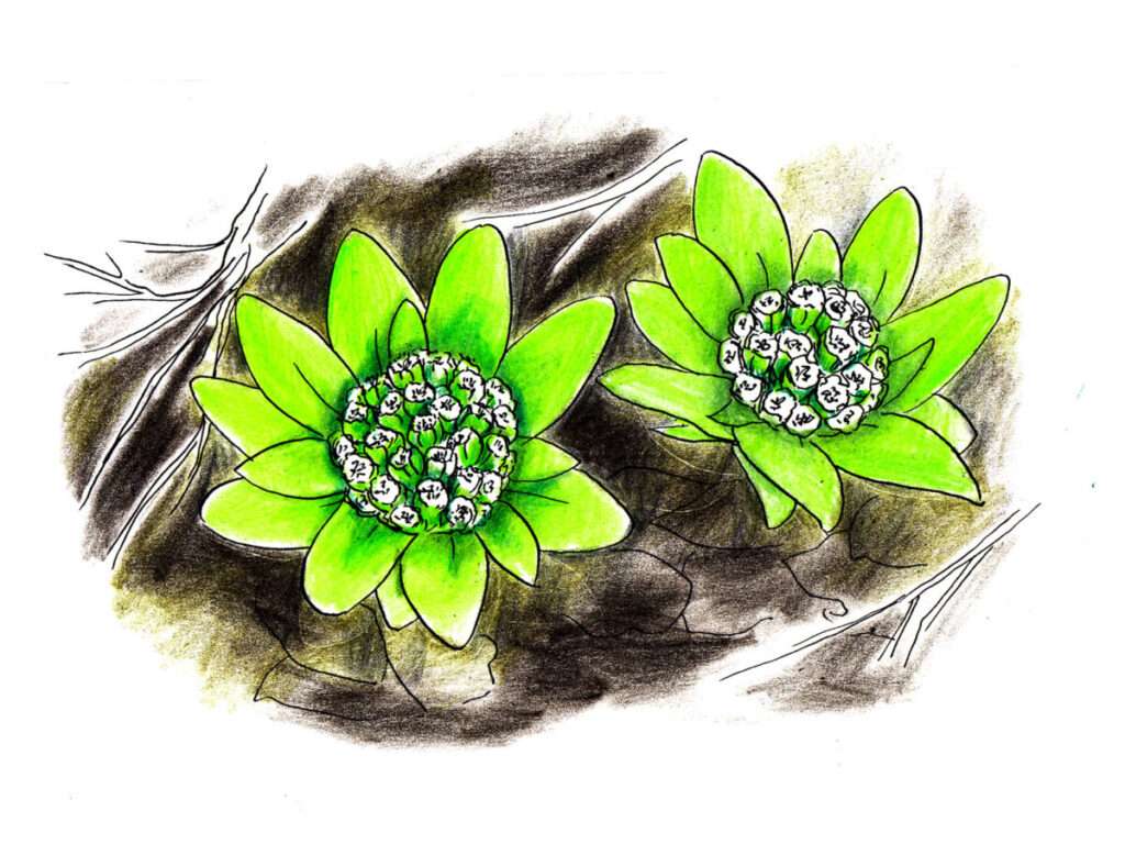 2026年3月のお休みと営業時間